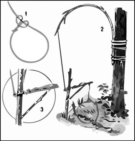 How To Make Traps And Snares For Survival Pdf Piratebayreview