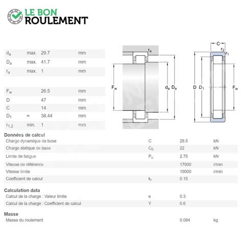 Roulement Rouleaux Cylindriques Rnu Ecp Skf Le Bon Roulement