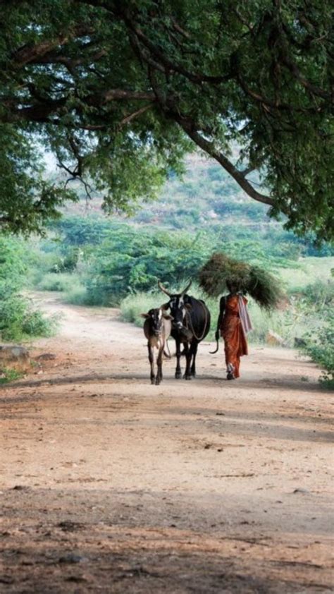 Biggest Village । भारतातील सर्वात मोठं गाव प्रत्येक घरात आहे फौजी