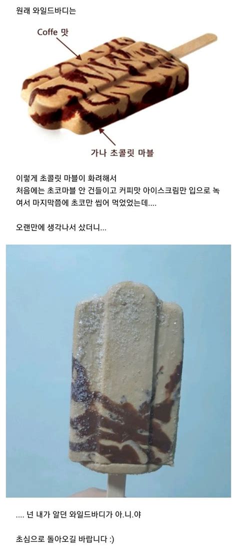 와일드바디 아이스크림 근황 유머다 웃긴 웃긴 밈 아이스크림