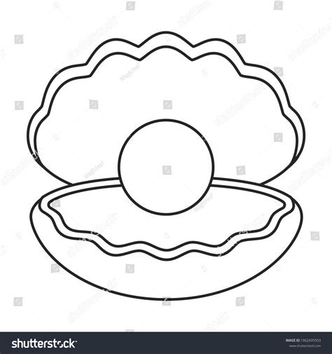 Pearl Shell Vector Outline Icon Vector Stock Vector Royalty Free