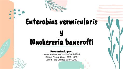 Enterobius Y Wuchereira Joslenny Castillo Udocz