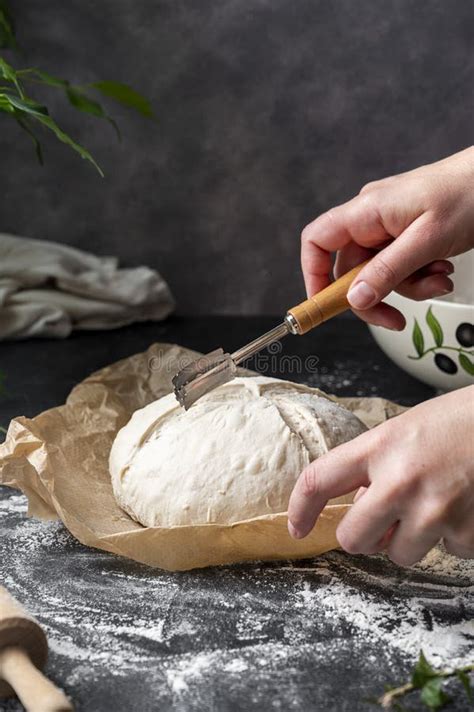 Cooking Sourdough Bread at Home. Female Hand Cutting Freshly Risen Bread Dough Witha Lame ...