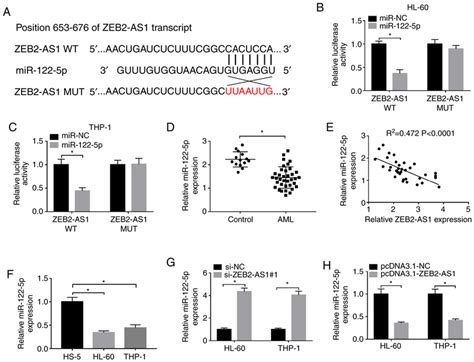 Zeb2 As1 Inhibits The Expression Of Mir 122 5p A The Targeted