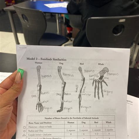 FREE Refer To Model 2 Study The Bone Arrangement In The Bird And