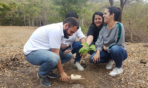 Details Rboles Para Reforestar Fuentes De Agua Abzlocal Mx