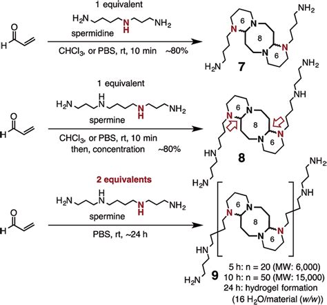 Scheme 4 1 5 Diazacyclooctanes From The Reaction Of Acrolein With The Download Scientific