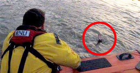 Man Just Five Seconds From Drowning Dramatically Rescued By Lifeboat