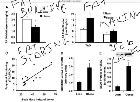 Torpor, Sloth and Gluttony: SCD1 CAUSES Humans to Store Fat - Fire In A ...