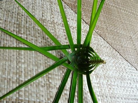 Palm Frond Art How To Do It Workshop I Got To Weave My First Items With Coconut Palm