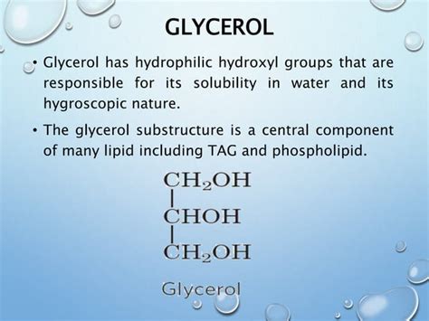 Triacylglycerol and compound lipid metabolism