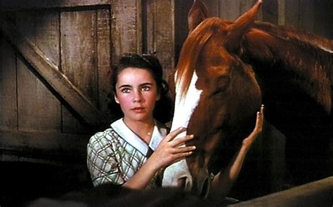 Remembering Elizabeth Taylor National Velvet” Ifc