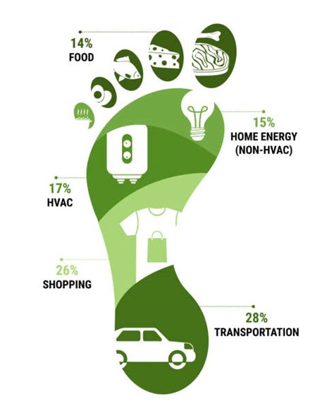 320+ Carbon Footprint Infographic Stock Illustrations, Royalty-Free ...