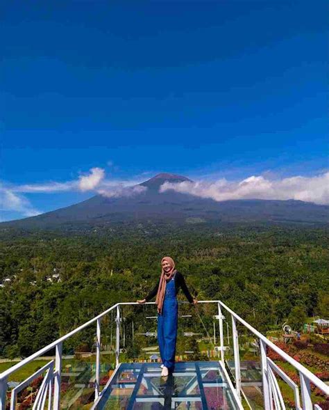 Bukit Tangkeban Pemalang Lokasi Rute Dan Harga Tiket Yanacircle