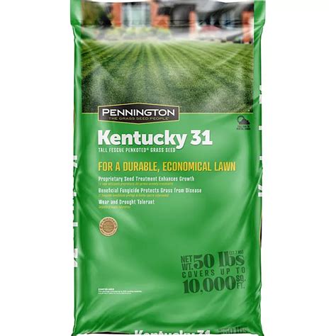 Pennington Kentucky 31 Tall Fescue Grass Seed 50 Lbs Sam S Club