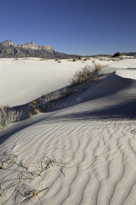 Salt Basin Dunes In Guadalupe Mountains National Park Stock Image