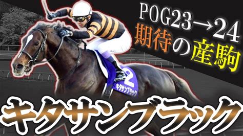 【祝ドバイsc制覇】最強の父キタサンブラック期待の産駒を10頭紹介します！【2歳馬】【pog23 24】 Youtube