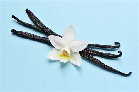 Where Does Vanilla Flavoring Come From? History of Pure Vanilla Extract ... 