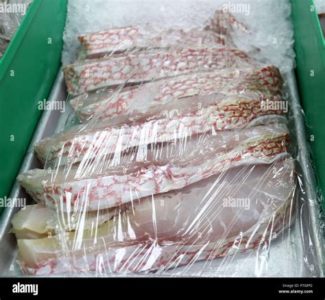 Red Snapper Steaks Hi Res Stock Photography And Images Alamy