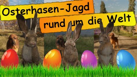 Wir Jagen Den Osterhasen Doppelstream TheHunter Call Of The Wild