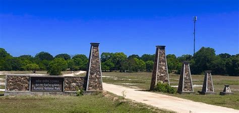 Kumana National Park: Bird Sanctuary - Sri Lanka