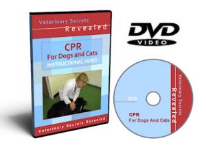 Canine CPR | Essentially Dogs