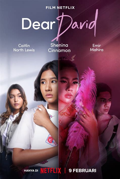 A massive sequel will follow The Life of David movie next year 3