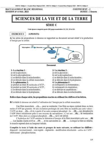 SVT BAC blanc C sujet barème Abidjan 4 2023 by Tehua