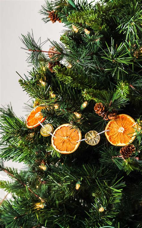 Homemade Dried Orange Garland Christmas Decoration XoxoBella