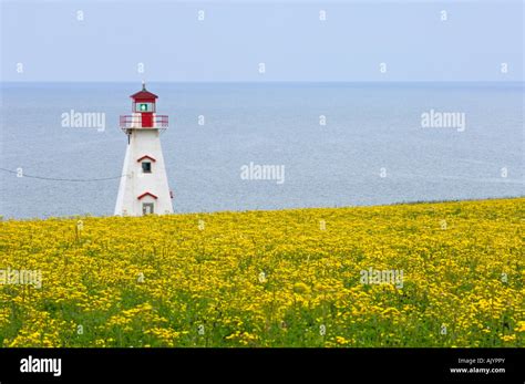 Lighthouse At Cape Tryon French River PE PEI Prince Edward Island