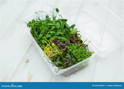 Assorted, a Mix of Various Micro-greens in a Transparent Plastic Box ...