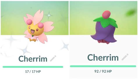 How To Evolve Cherubi In Pokémon Go