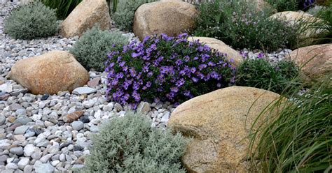 Types of landscaping rocks and how to use them – Artofit