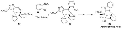 Alkaloid Synthesis Crinine Tang Codonopsinine Jung Gephyrotoxin