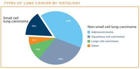 Types Of Lung Cancer Lungevity Foundation