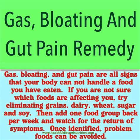 (291/294.) Gas, Bloating and Gut Pain Remedy | myhealthfuldiet