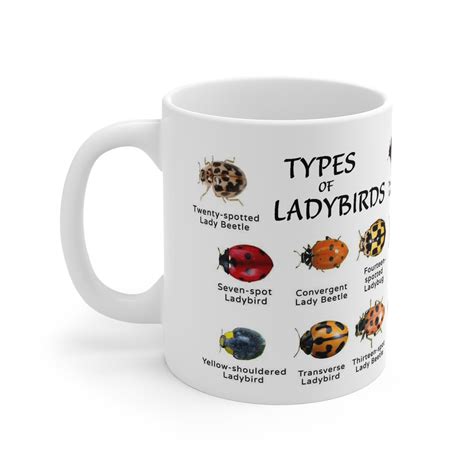 Types of Ladybirds Ladybugs Great Gift for Coccinellidae or Insect
