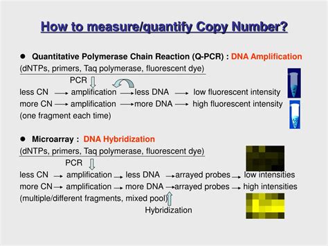 Ppt Genome Wide Copy Number Analysis Powerpoint Presentation Free