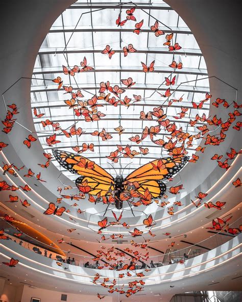 Moa Mall Of America North Atrium Butterfly Art Exhibit 2019