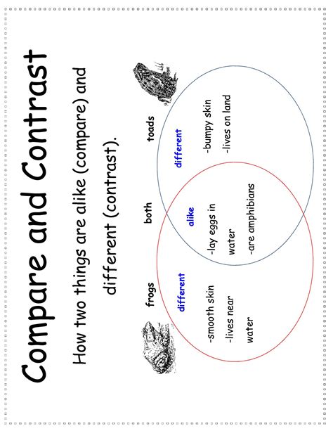 Compare And Contrast Kindergarten Worksheet