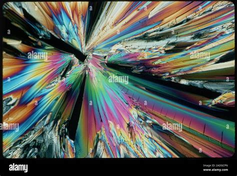 Sugar Polarised Light Micrograph Of Crystals Of Saccharose Sugar