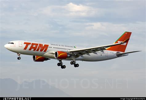 Pt Mvl Airbus A Tam Linhas A Reas Bravoalpha Jetphotos