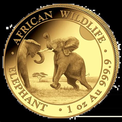 1 Oz Somalia Elephant Gold Coin 2024 Goldbase