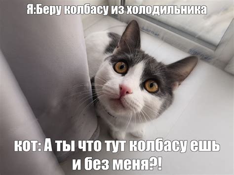 Meme: "Я:Беру колбасу из холодильника кот: А ты что тут колбасу ешь и ...