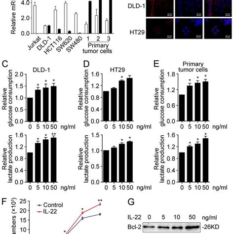 Il 22 Promoted Aerobic Glycolysis Associated With Cellular Download Scientific Diagram