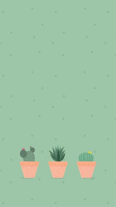 Cactus Aesthetic Wallpapers - Wallpaper Cave