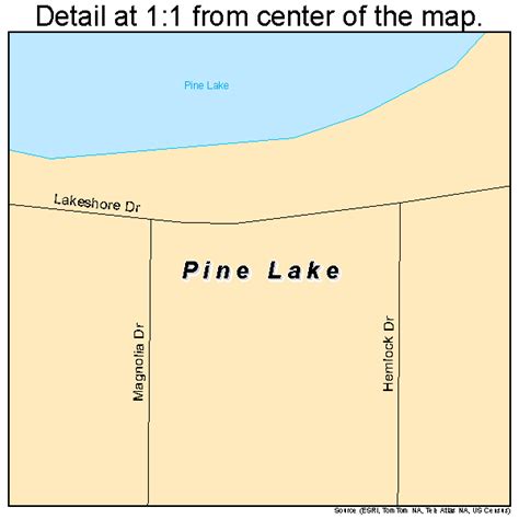 Pine Lake Georgia Street Map 1361040