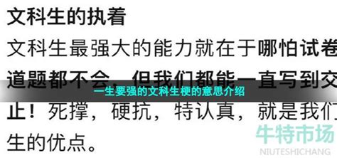 一生要强的文科生是什么梗 一生要强的文科生梗的意思介绍 牛特市场