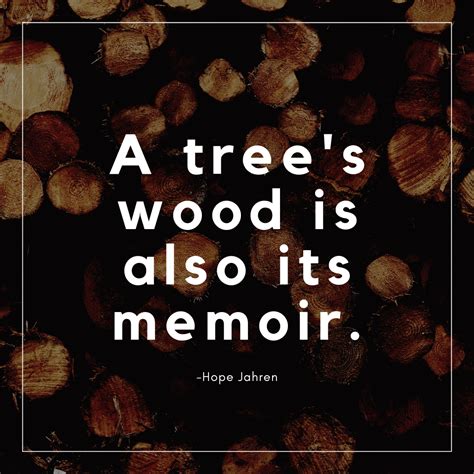 3 Fun Quotes About Lumber - Wood. It's Real.