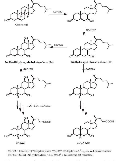 Figure 1 From An Efficient Synthesis Of 7α12α Dihydroxy 4 Cholesten 3